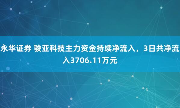 永华证券 骏亚科技主力资金持续净流入，3日共净流入3706.11万元