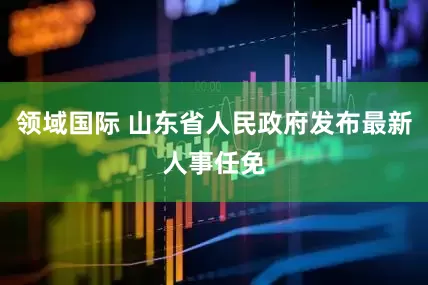领域国际 山东省人民政府发布最新人事任免